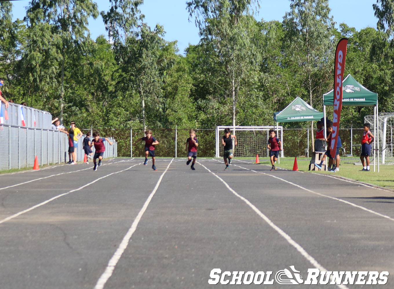 Serie 4 - Heats de la Categoría Masculina u9 en 50 metros