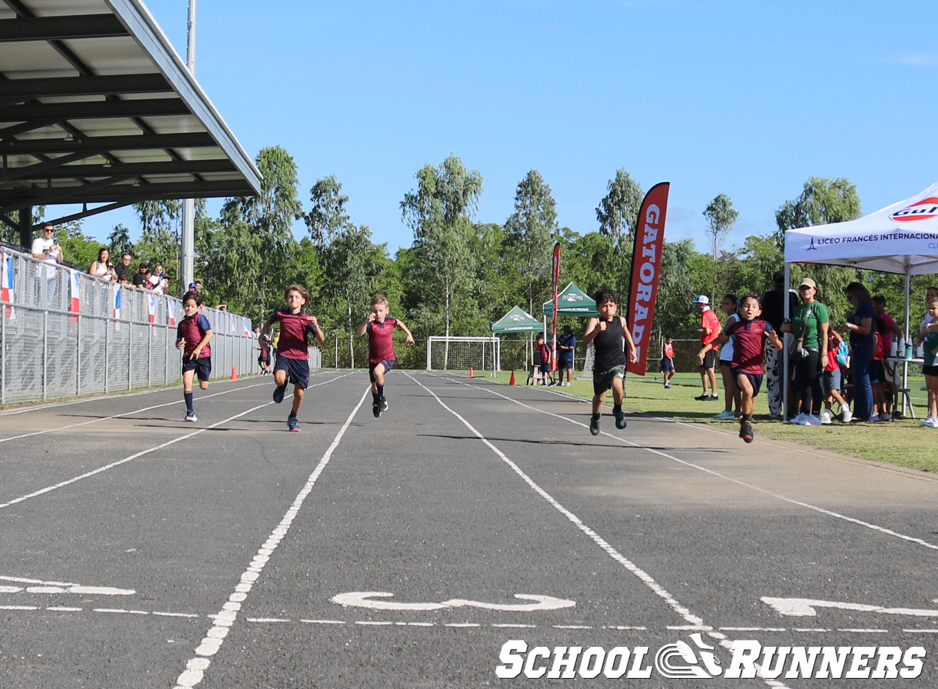 Serie 4 - Heats de la Categoría Masculina u9 en 50 metros