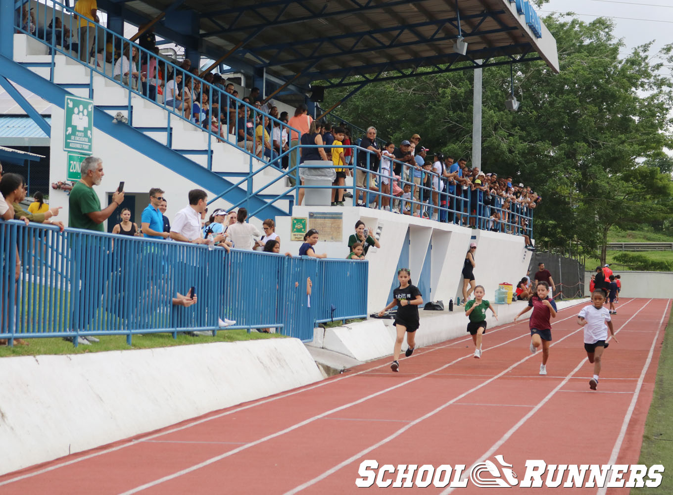 2025 Serie 1 - Heats - Categoría Femenina u9 - 50 metros