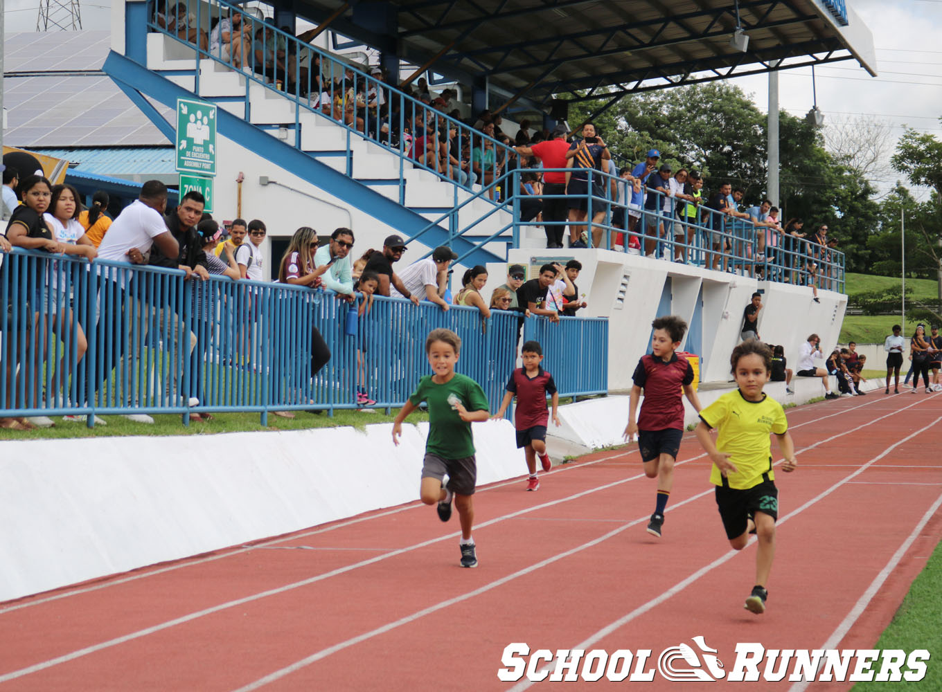 2025 Serie 2 - Heats - Categoría Masculina u9 - 50 metros
